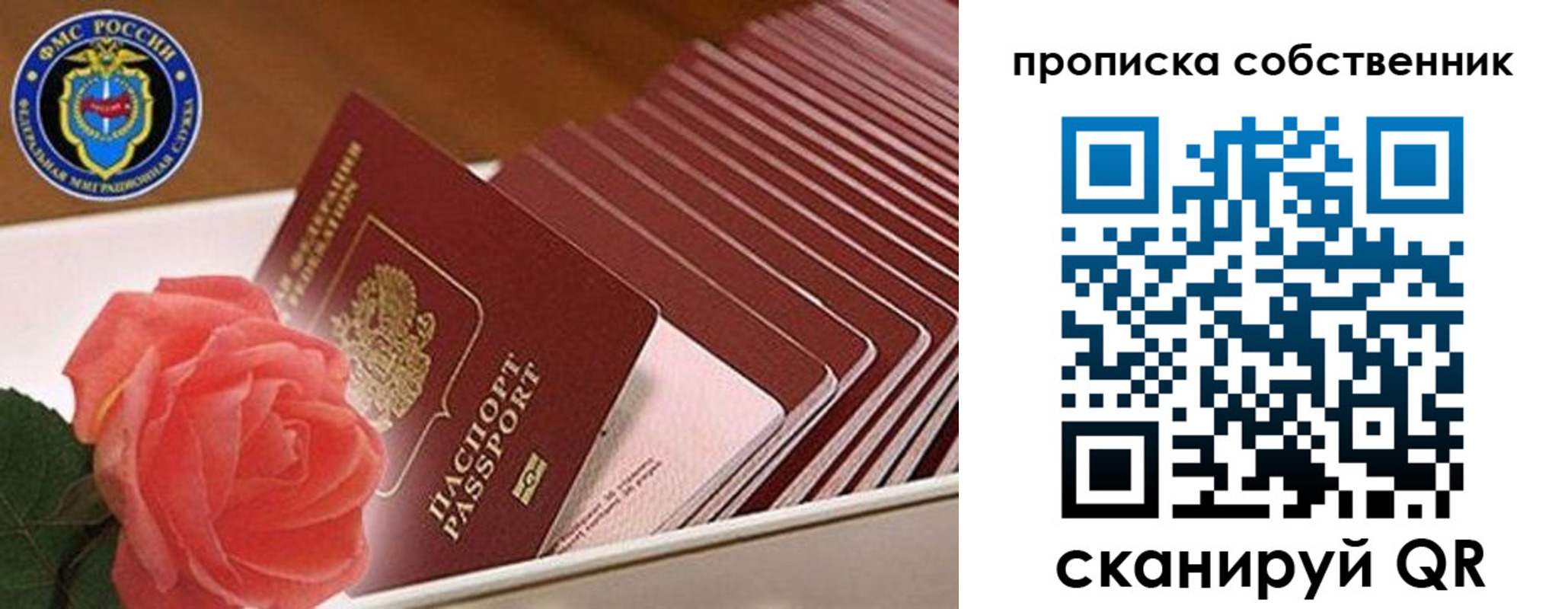 прописка поиск в Семилуках